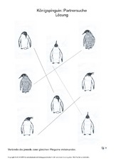 020 pinguin partnersuche schwierig lösung.pdf